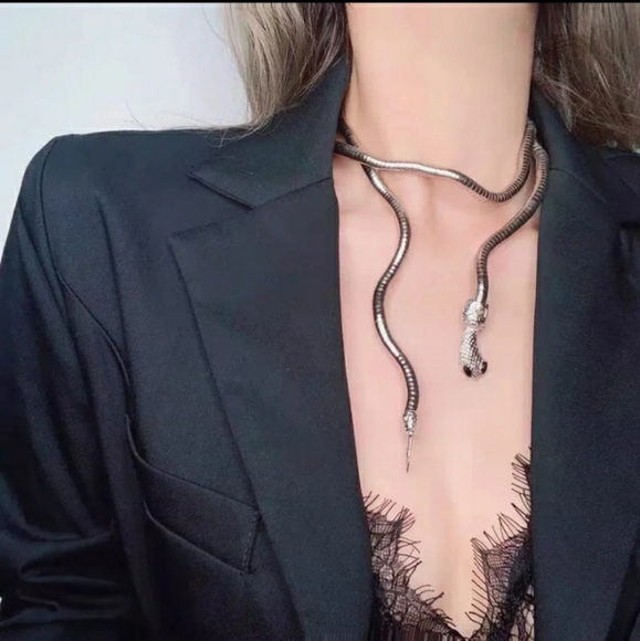 Snake Accessory - Picture 8 of 12